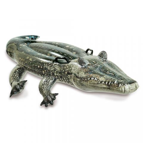 Realistic Gator