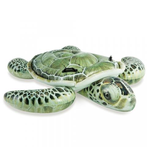 Φουσκωτή Χελώνα